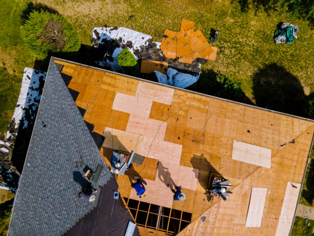 Roof Gutter Cleaning in Royalton, MN
