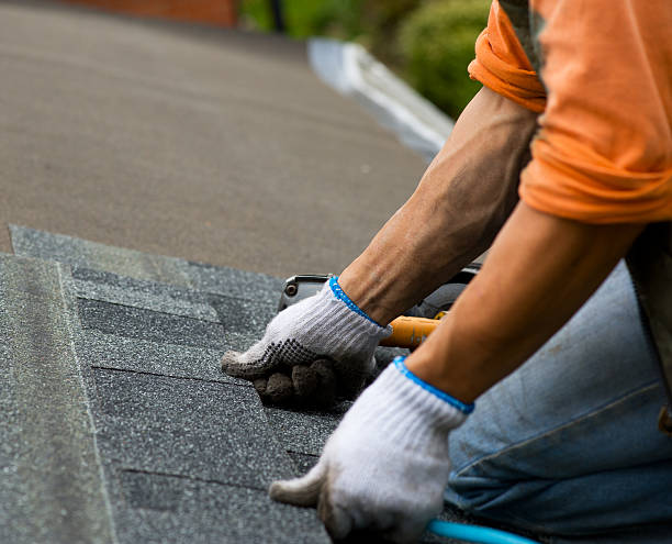 Quick and Trustworthy Emergency Roof Repair Services in Royalton, MN